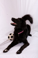 Marlee_0027