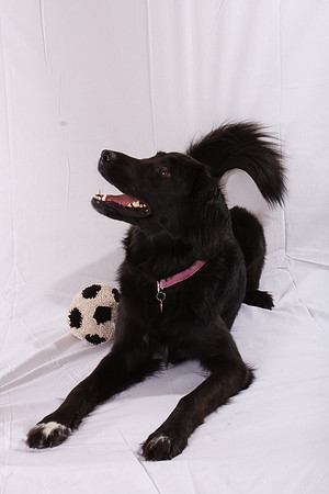 Marlee_0027