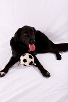 Marlee_0019