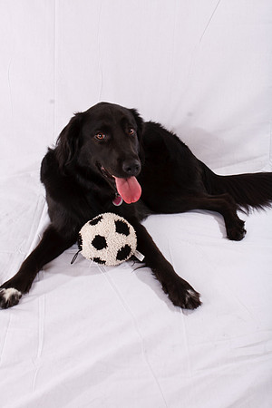 Marlee_0019